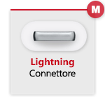 Apple Lightning Maschio